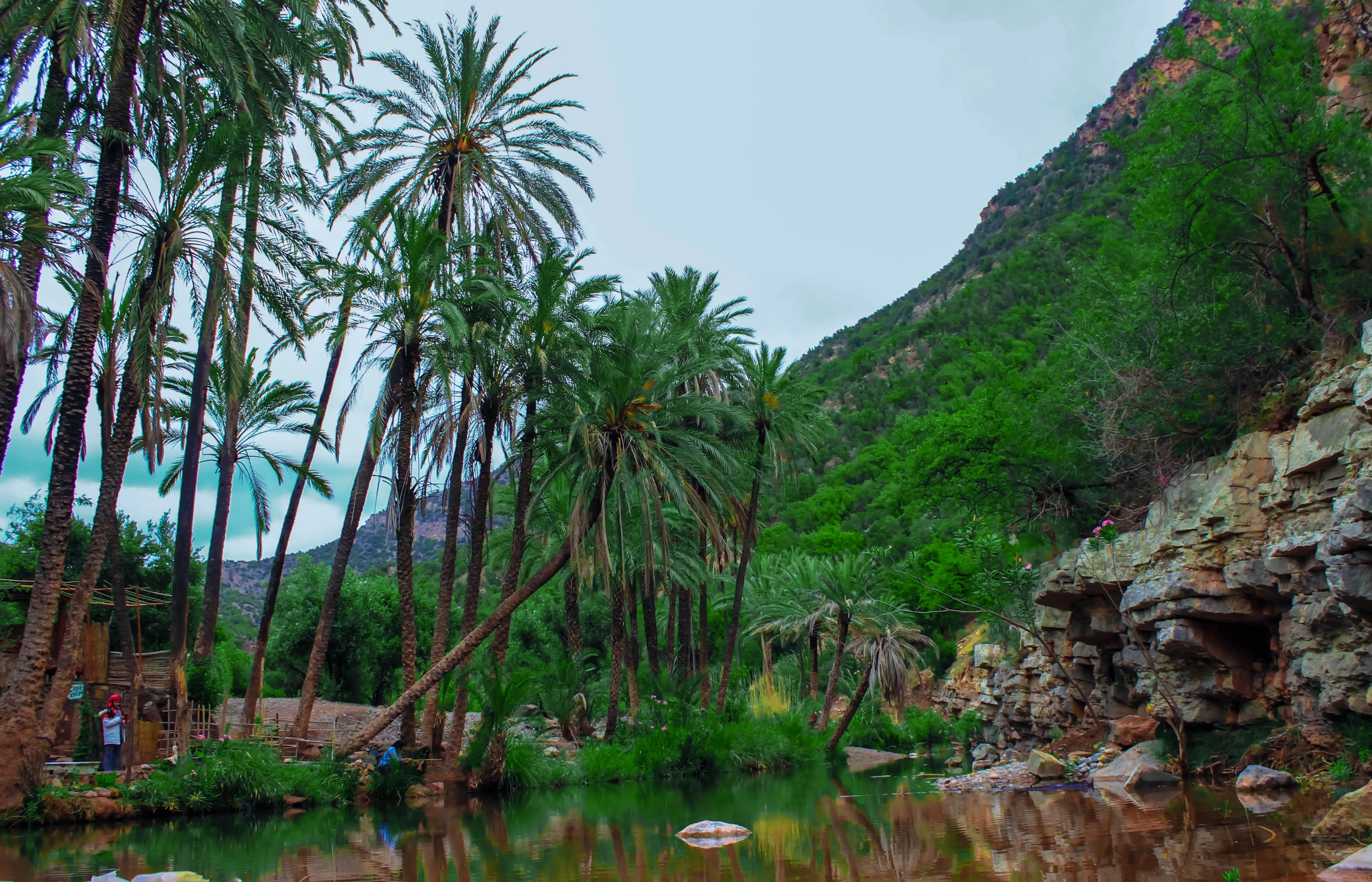 Paradise Valley from Agadir: The Mountain Drive Every Visitor Should Do Once